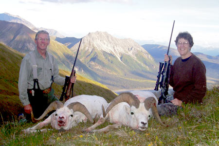 Two nice Dall rams.