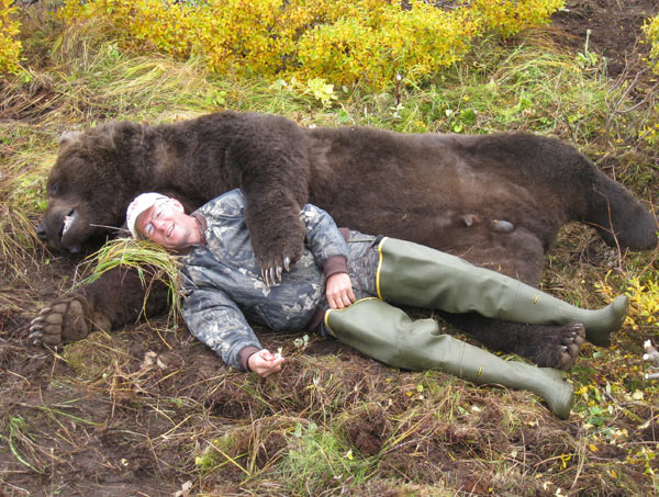 A good perspective of the size of a coastal brown bear.