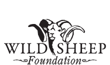 Wild Sheep Foundation