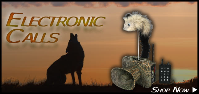 Electronic Calls