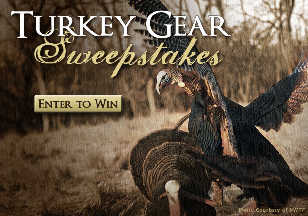 Enter to Win a Turkey Hunting Gear Package from MidwayUSA! Enter to Win a Turkey Hunting Gear Package from MidwayUSA!