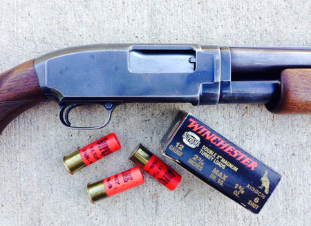 An old Winchester Model 12, 12 gauge, made in 1940 - Larry's favorite shotgun for turkeys. An old Winchester Model 12, 12 gauge, made in 1940 - Larry's favorite shotgun for turkeys.
