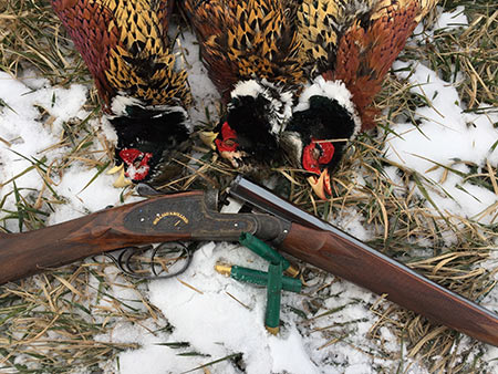 MidwayUSA Releases Larry's Short Stories #165 – Cold Weather Pheasants MidwayUSA Releases Larry's Short Stories #165 – Cold Weather Pheasants