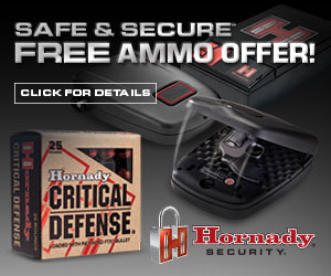 Safe & Secure Rebate Safe & Secure Rebate