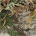 Realtree Max-1